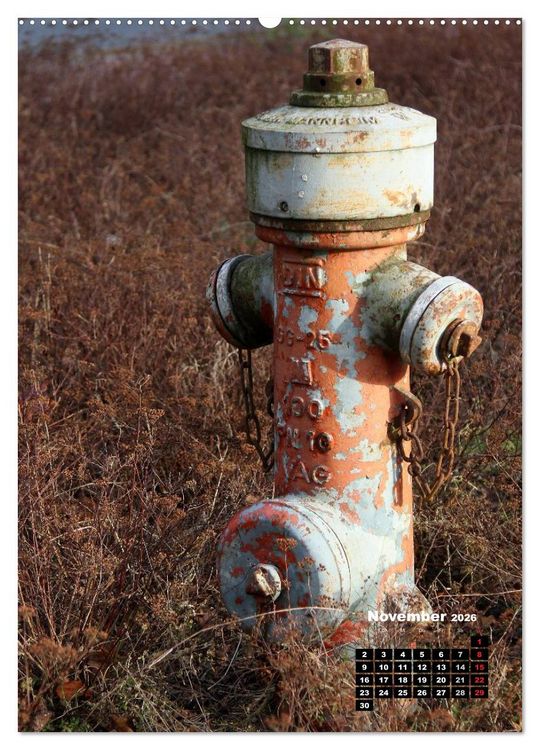 Produktbild: Nostalgie Hydranten (hochwertiger Premium Wandkalender 2026 DIN A2 hoch), Kunstdruck in Hochglanz