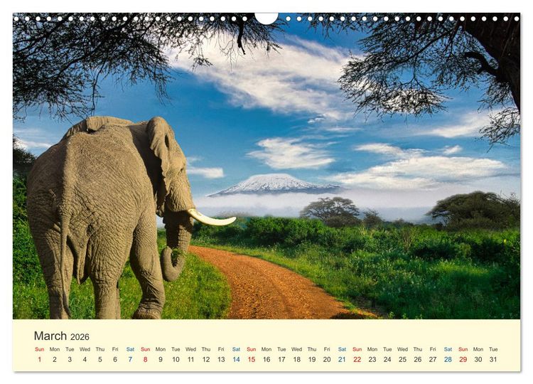 Produktbild: Wonderful Kenya (Wall Calendar 2026 DIN A3 landscape), CALVENDO 12 Month Wall Calendar
