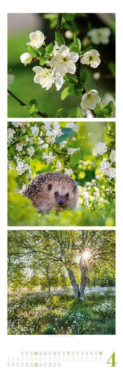 Produktbild: Nature Triplet-Kalender 2027