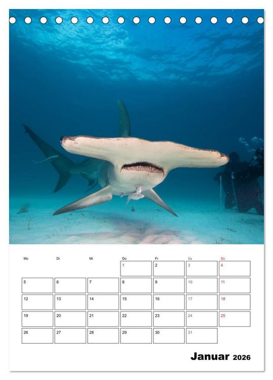 Produktbild: Tauchen - Abtauchen und Staunen (Tischkalender 2026 DIN A5 hoch), CALVENDO Monatskalender
