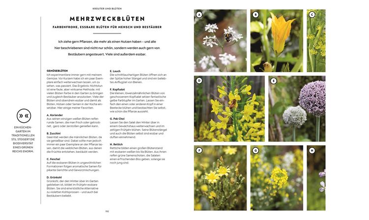 Produktbild: Mein Gem&uuml;segarten