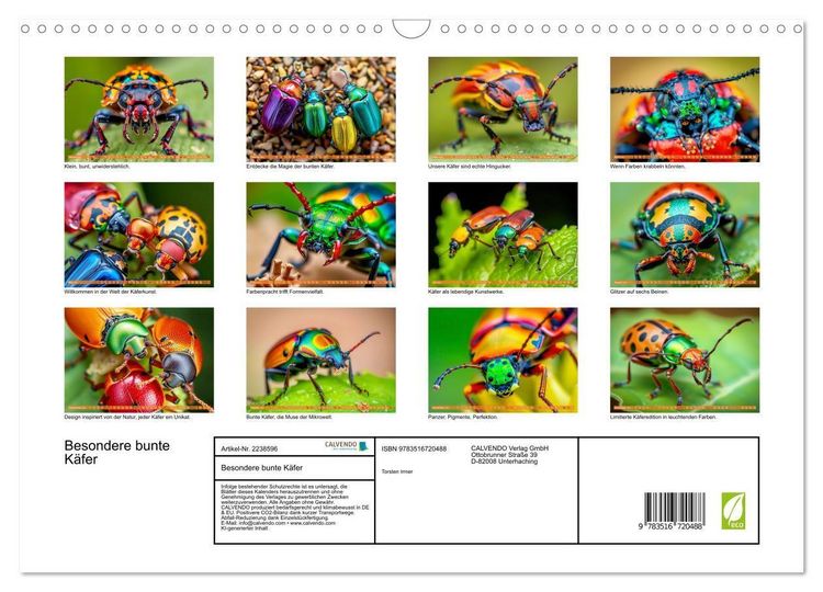 Produktbild: Besondere bunte K&auml;fer (Wandkalender 2026 DIN A3 quer), CALVENDO Monatskalender