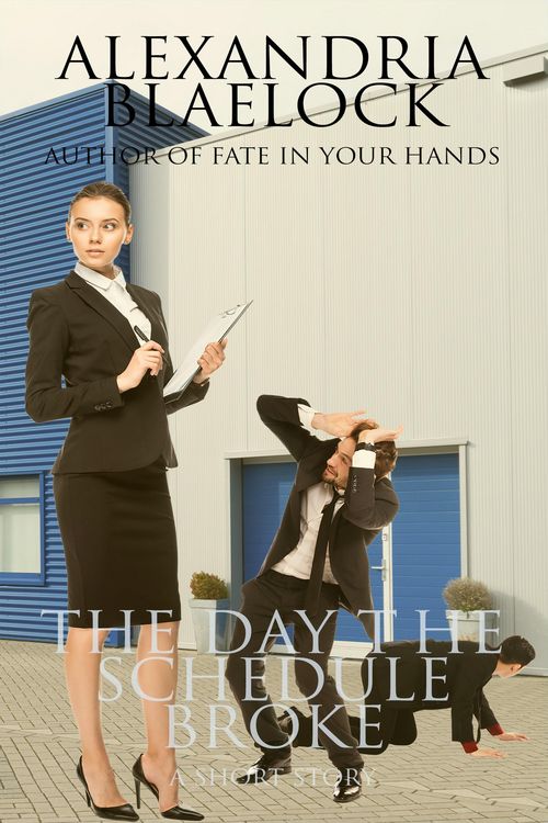 Produktbild: The Day the Schedule Broke