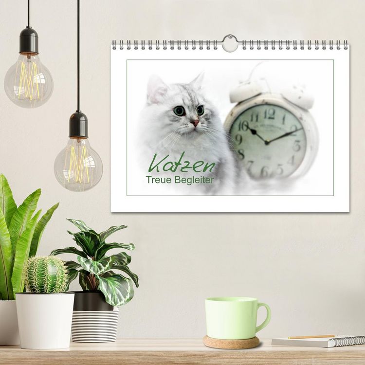 Produktbild: Katzen &ndash; Treue Begleiter (CH - Version) (Wandkalender 2026 DIN A4 quer), CALVENDO Monatskalender