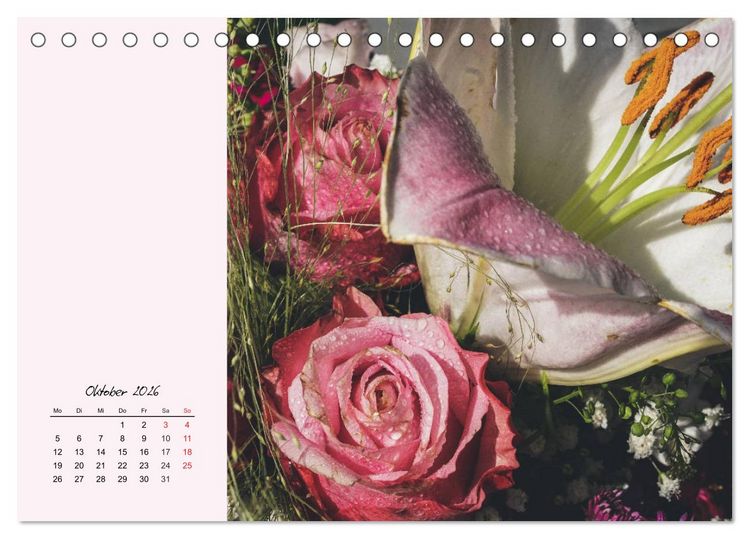 Produktbild: Rosen. Charmante und edle K&ouml;niginnen (Tischkalender 2026 DIN A5 quer), CALVENDO Monatskalender