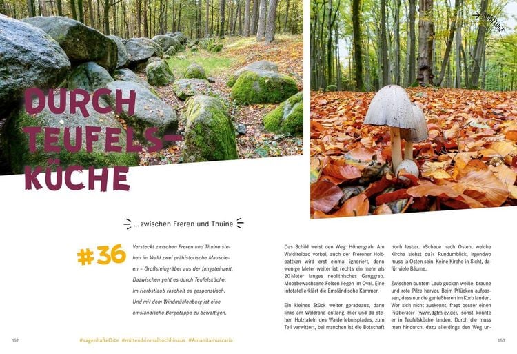 Produktbild: 52 kleine & gro&szlig;e Eskapaden im Emsland