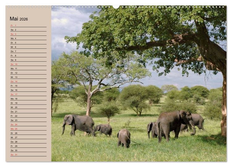 Produktbild: Elefanten. Sensible R&uuml;sseltiere (hochwertiger Premium Wandkalender 2026 DIN A2 quer), Kunstdruck in Hochglanz