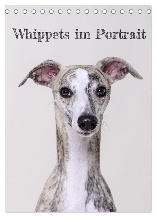 Produktbild: Whippets im Portrait (Tischkalender 2026 DIN A5 hoch), CALVENDO Monatskalender