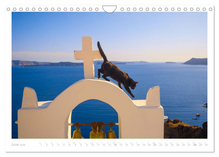 Produktbild: Cats of the Greek Islands (Wall Calendar 2026 DIN A4 landscape), CALVENDO 12 Month Wall Calendar
