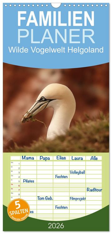 Produktbild: Familienplaner 2026 - Wilde Vogelwelt Helgoland mit 5 Spalten (Wandkalender, 21 x 45 cm) CALVENDO