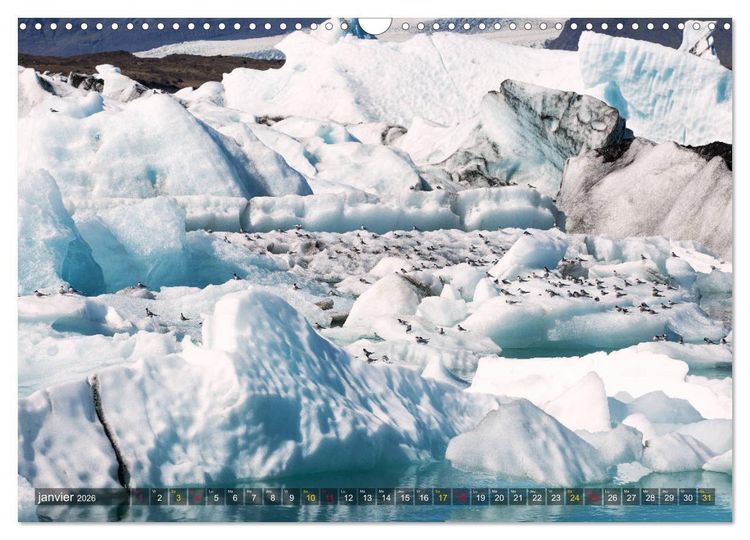 Produktbild: Islande &icirc;le de merveilles naturelles (Calendrier mural 2026 DIN A3 vertical), CALVENDO calendrier mensuel