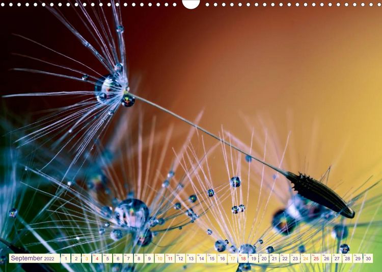 Produktbild: B&uuml;hne frei f&uuml;r die bunte Tr&ouml;pfchenwelt (Wandkalender 2022 DIN A3 quer)