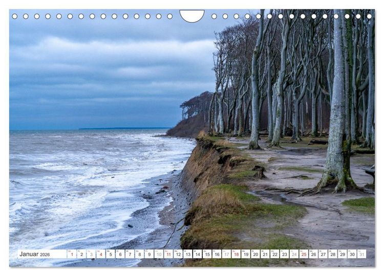 Produktbild: Deutsche Bundesl&auml;nder - Mecklenburg-Vorpommern (Wandkalender 2026 DIN A4 quer), CALVENDO Monatskalender