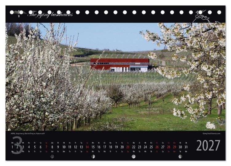 Produktbild: Wein & Architektur 2027 (Tischkalender 2027 DIN A5 quer), CALVENDO Monatskalender
