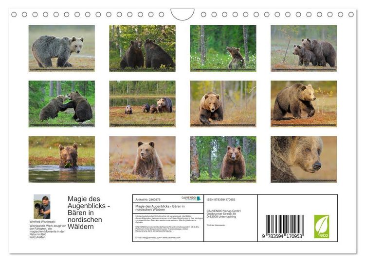 Produktbild: Magie des Augenblicks - B&auml;ren in nordischen W&auml;ldern (Wandkalender 2027 DIN A4 quer), CALVENDO Monatskalender