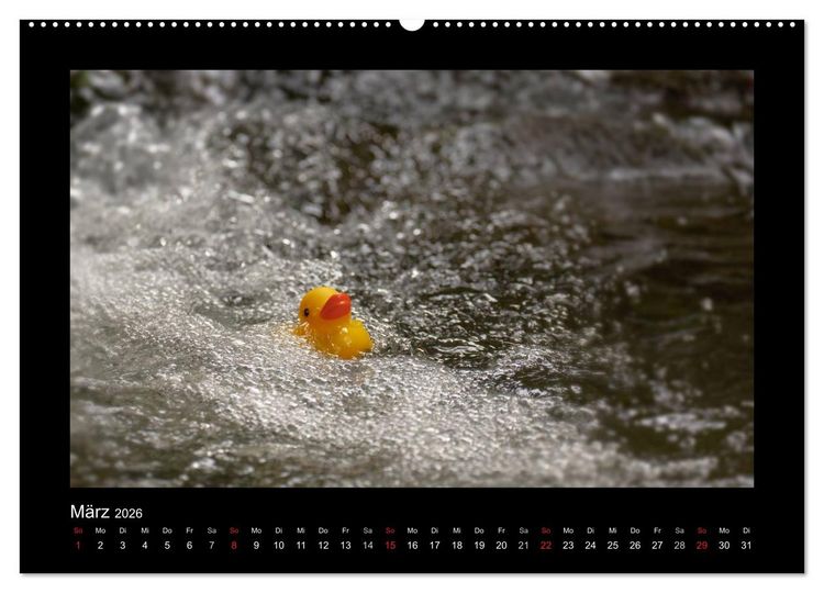 Produktbild: Enten-Rennen (hochwertiger Premium Wandkalender 2026 DIN A2 quer), Kunstdruck in Hochglanz
