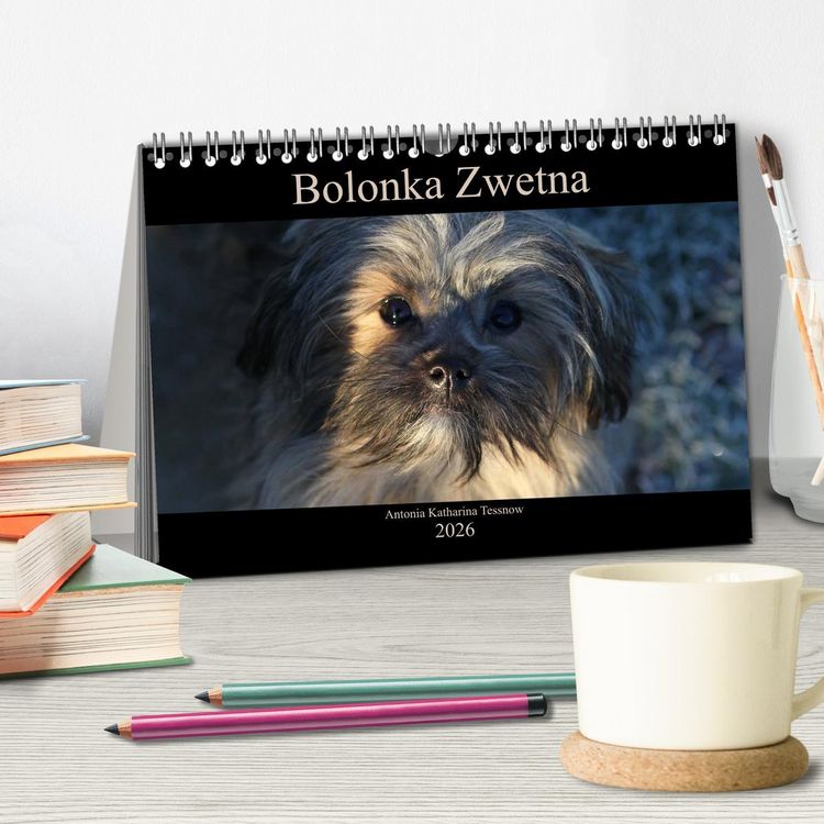 Produktbild: Bolonka Zwetna 2026 (Tischkalender 2026 DIN A5 quer), CALVENDO Monatskalender