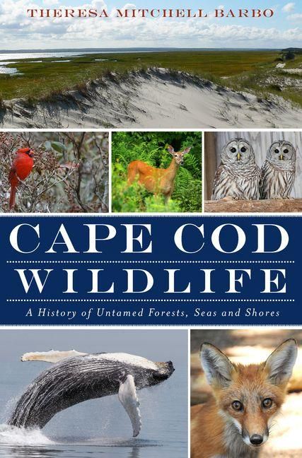 Produktbild: Cape Cod Wildlife
