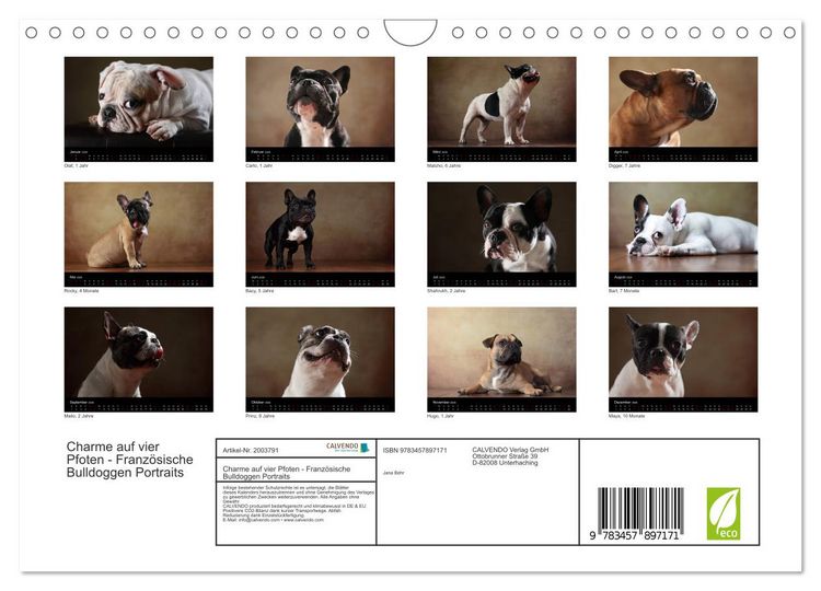 Produktbild: Charme auf vier Pfoten - Franz&ouml;sische Bulldoggen Portraits (Wandkalender 2026 DIN A4 quer), CALVENDO Monatskalender