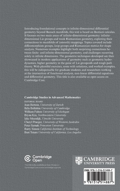 Produktbild: An Introduction to Infinite-Dimensional Differential Geometry
