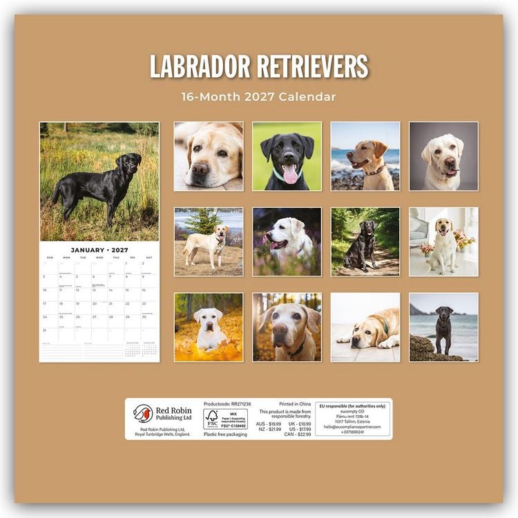 Produktbild: Labrador Retrievers &ndash; Labrador Retriever 2027 &ndash; 16-Monatskalender