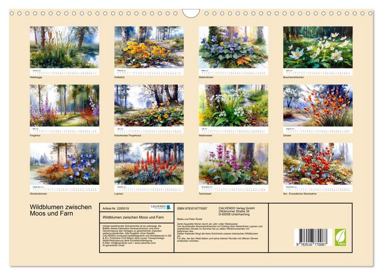 Produktbild: Wildblumen zwischen Moos und Farn (Wandkalender 2027 DIN A3 quer), CALVENDO Monatskalender