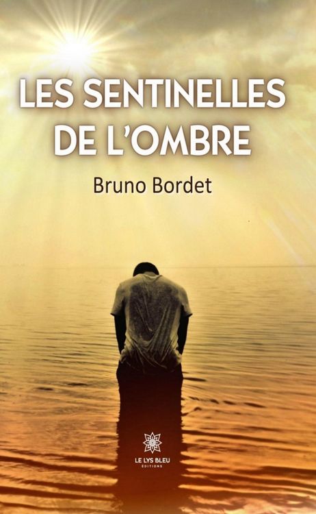 Produktbild: Les sentinelles de l'ombre
