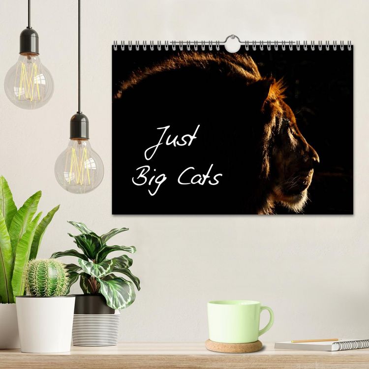 Produktbild: Just Big Cats (Wall Calendar 2026 DIN A4 landscape), CALVENDO 12 Month Wall Calendar