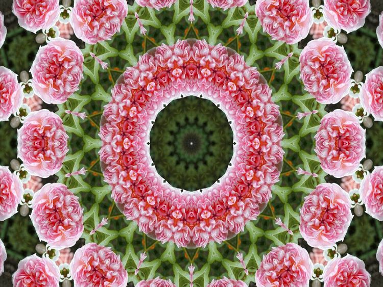 Produktbild: CALVENDO Puzzle Blumen Mandala - Kaleidoskop | 1000 Teile Lege-Gr&ouml;&szlig;e 64x48cm Foto-Puzzle f&uuml;r gl&uuml;ckliche Stunden