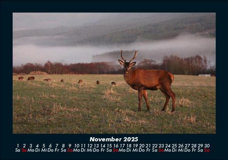 Produktbild: Naturlandschaften 2025 Fotokalender DIN A5