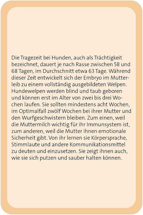 Produktbild: Das gro&szlig;e Hunde Quiz