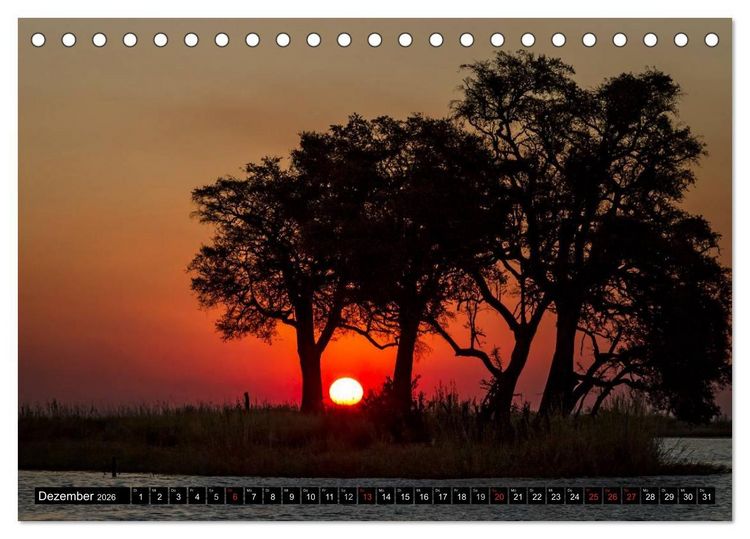 Produktbild: Afrikas B&auml;ume (Tischkalender 2026 DIN A5 quer), CALVENDO Monatskalender