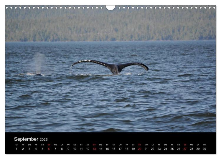 Produktbild: Vancouver und Vancouver Island 2026 (Wandkalender 2026 DIN A3 quer), CALVENDO Monatskalender