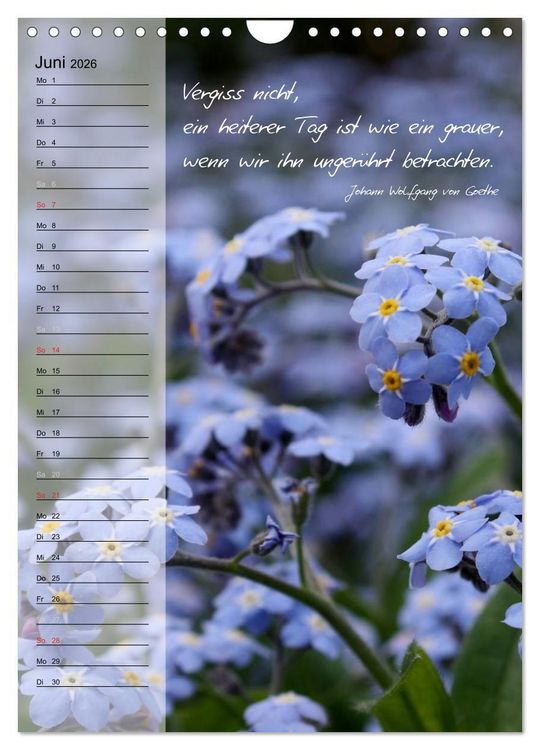 Produktbild: Blumen & Zitate / Geburtstagskalender (Wandkalender 2026 DIN A4 hoch), CALVENDO Monatskalender