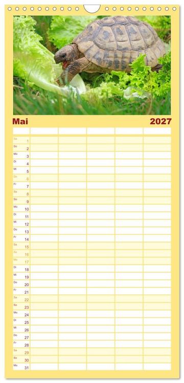 Produktbild: Familienplaner 2027 - Schildkr&ouml;ten - Gepanzerte Urzeitwesen mit 5 Spalten (Wandkalender, 21 x 45 cm) CALVENDO