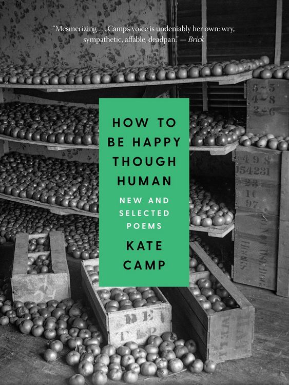 Produktbild: How to Be Happy Though Human