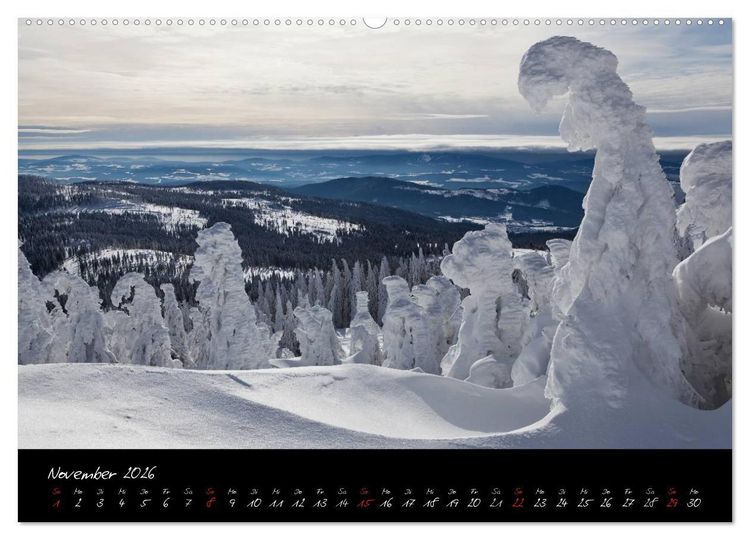 Produktbild: Bayerischer Wald (hochwertiger Premium Wandkalender 2026 DIN A2 quer), Kunstdruck in Hochglanz