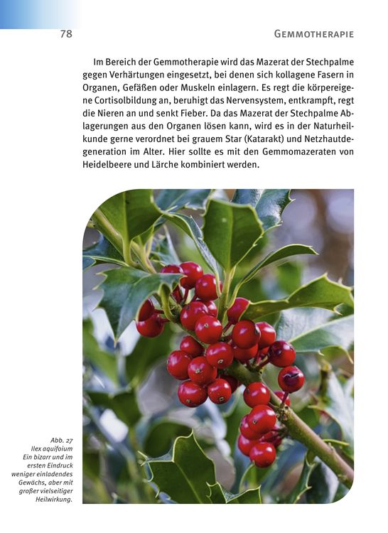 Produktbild: Makuladegeneration - Diabetische Retinopathie