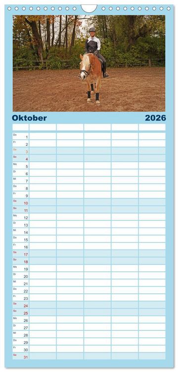 Produktbild: Familienplaner 2026 - Faszination Haflinger mit 5 Spalten (Wandkalender, 21 x 45 cm) CALVENDO