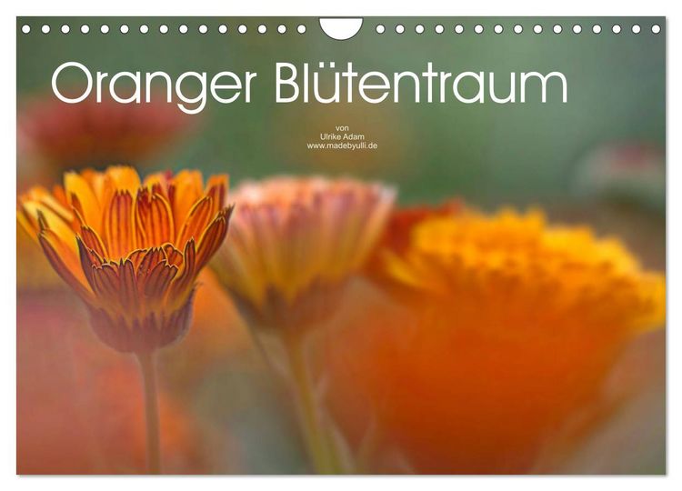 Produktbild: Oranger Bl&uuml;tentraum (Wandkalender 2026 DIN A4 quer), CALVENDO Monatskalender