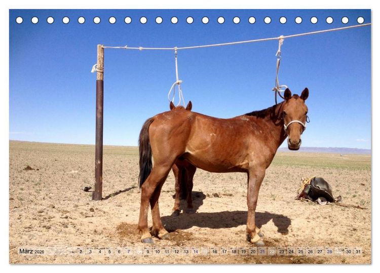 Produktbild: Pferde und Reiter der Mongolei (Tischkalender 2026 DIN A5 quer), CALVENDO Monatskalender