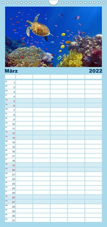 Produktbild: Riffleben - Einfach mal abtauchen - Familienplaner hoch (Wandkalender 2022 , 21 cm x 45 cm, hoch)
