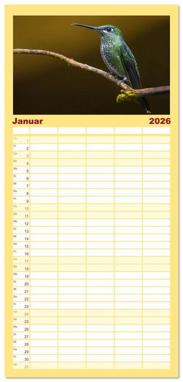 Produktbild: Familienplaner 2026 - Tropische V&ouml;gel Costa Ricas mit 5 Spalten (Wandkalender, 21 x 45 cm) CALVENDO