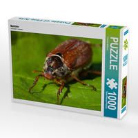 Produktbild: CALVENDO Puzzle Maik&auml;fer | 1000 Teile Lege-Gr&ouml;&szlig;e 64x48cm Foto-Puzzle f&uuml;r gl&uuml;ckliche Stunden