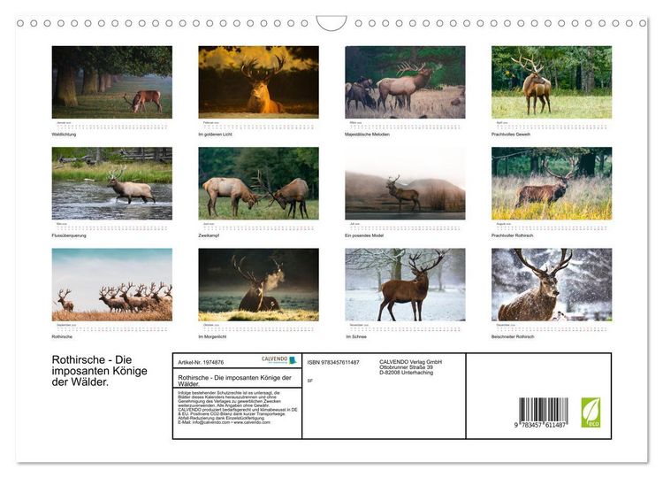 Produktbild: Rothirsche - Die imposanten K&ouml;nige der W&auml;lder. (Wandkalender 2026 DIN A3 quer), CALVENDO Monatskalender