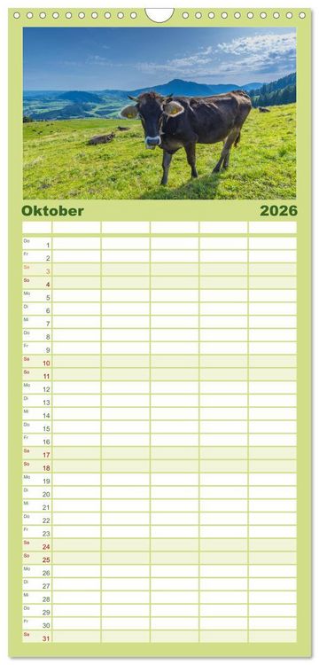 Produktbild: Familienplaner 2026 - Allg&auml;uer Sch&ouml;nheiten Allg&auml;u - Land der K&uuml;he mit 5 Spalten (Wandkalender, 21 x 45 cm) CALVENDO