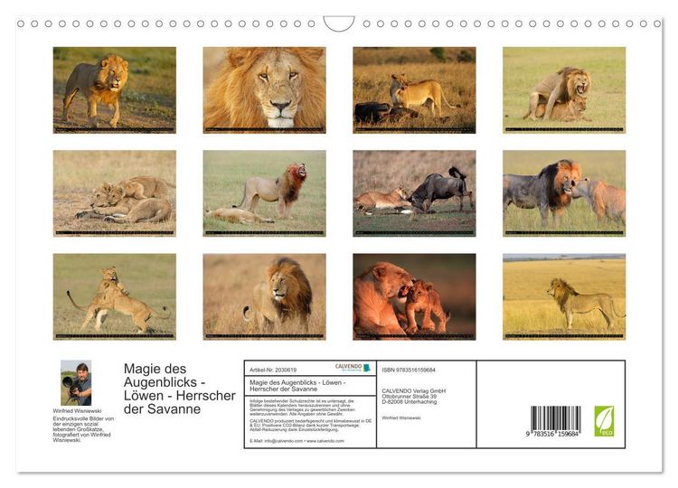 Produktbild: Magie des Augenblicks - L&ouml;wen - Herrscher der Savanne (Wandkalender 2026 DIN A3 quer), CALVENDO Monatskalender