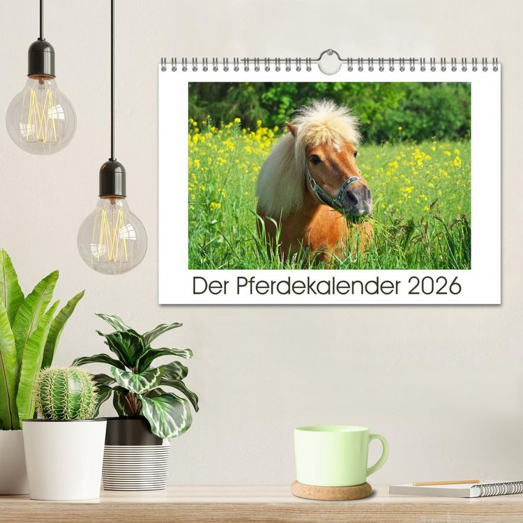 Produktbild: Der Pferdekalender (Wandkalender 2026 DIN A4 quer), CALVENDO Monatskalender