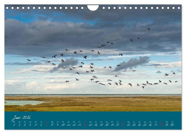 Produktbild: Blick auf die Halbinsel Fischland, Dar&szlig; und Zingst (Wandkalender 2026 DIN A4 quer), CALVENDO Monatskalender
