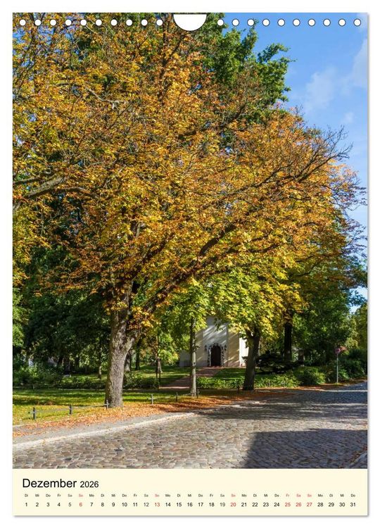 Produktbild: BERLIN L&Uuml;BARS jwd (Wandkalender 2026 DIN A4 hoch), CALVENDO Monatskalender